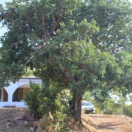 Carrubi Vista Mare Apartment Tertenia