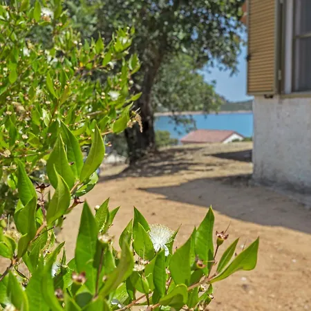 Carrubi Vista Mare- 2 Minuti Dalla Tertenìa